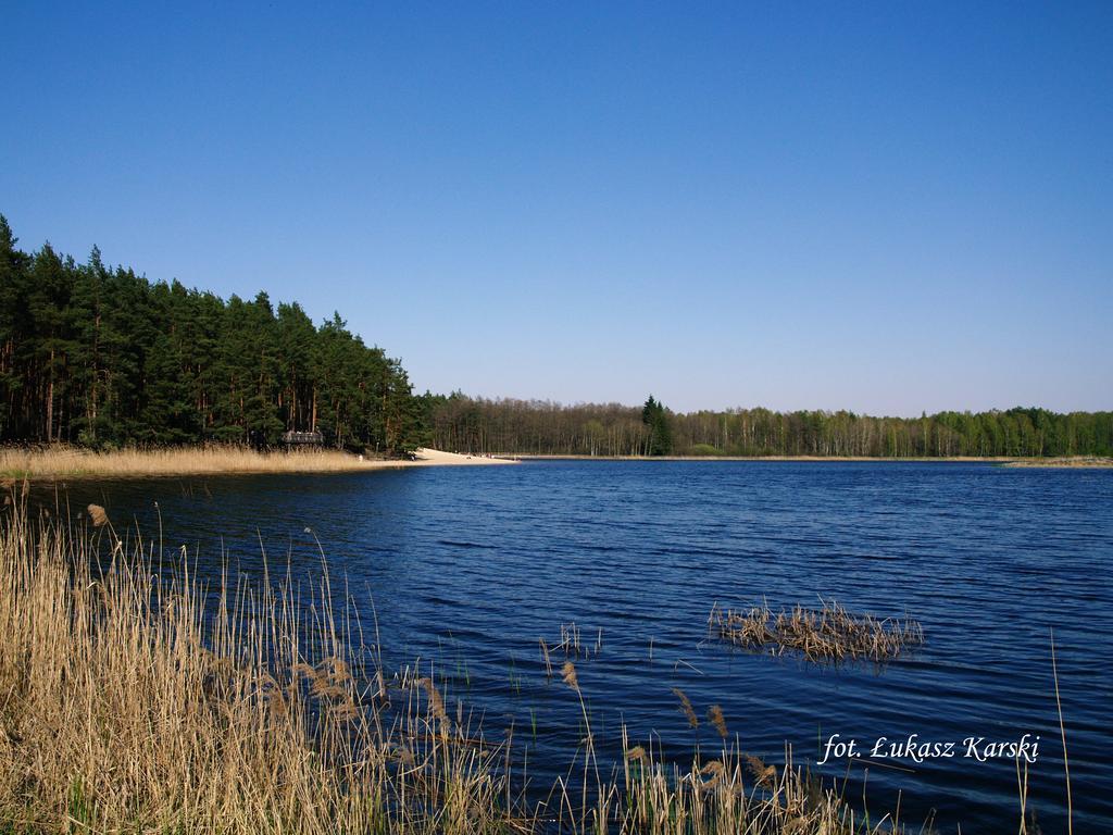 Domki , Pokoje Goscinne Ustronie Zwierzyniec ห้อง รูปภาพ